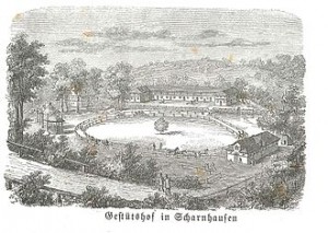 Quelle: Wikipedia
